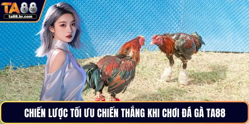 Đá Gà TA88 – Trải Nghiệm Theo Dõi Các Trận Đấu Hấp Dẫn - QENIX.ORG