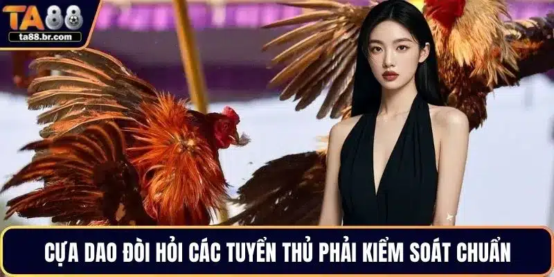 Đá Gà Cựa Dao Là Gì? Luật Chơi, Kỹ Thuật Và Sức Hút Riêng - QENIX.ORG