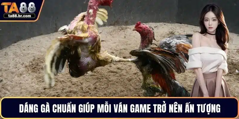 Đá Gà Cựa Sắt – Hình Thức Thi Đấu Hot Nhất Giới Chọi Kê - QENIX.ORG