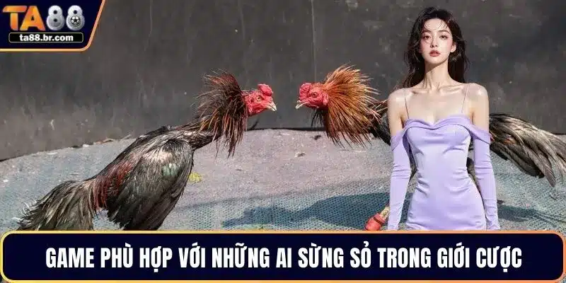 Đá Gà Cựa Dao Là Gì? Luật Chơi, Kỹ Thuật Và Sức Hút Riêng - QENIX.ORG