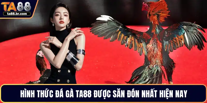 Đá Gà TA88 – Trải Nghiệm Theo Dõi Các Trận Đấu Hấp Dẫn - QENIX.ORG