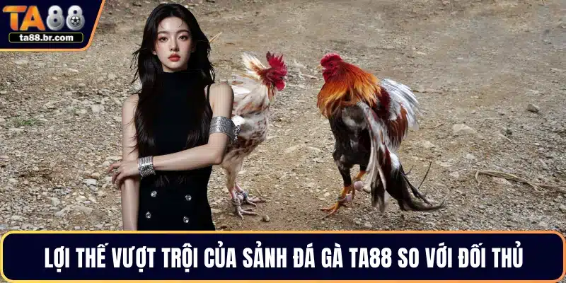 Đá Gà TA88 – Trải Nghiệm Theo Dõi Các Trận Đấu Hấp Dẫn - QENIX.ORG