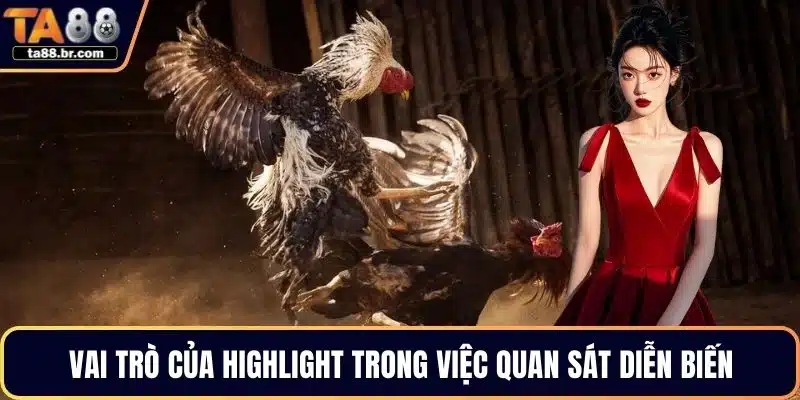 Clip Hightlight Đá Gà Chân Thực Và Rõ Nét Tại TA88 - QENIX.ORG