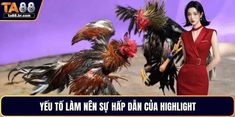 Clip Hightlight Đá Gà Chân Thực Và Rõ Nét Tại TA88 - QENIX.ORG