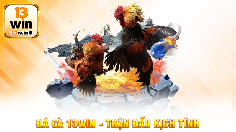Đá gà 13Win - Trải Nghiệm Đỉnh Cao Với Các Trận Đấu Kịch Tính - 13win - QENIX.ORG