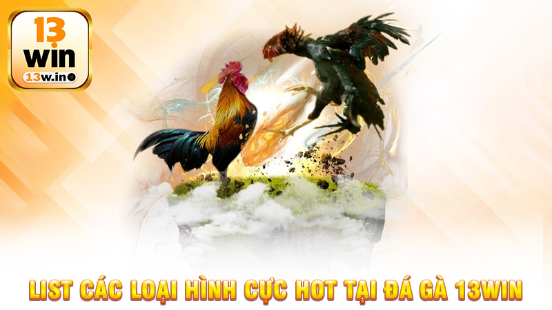 Đá gà 13Win - Trải Nghiệm Đỉnh Cao Với Các Trận Đấu Kịch Tính - 13win - QENIX.ORG