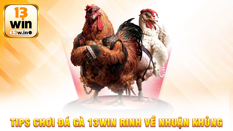 Đá gà 13Win - Trải Nghiệm Đỉnh Cao Với Các Trận Đấu Kịch Tính - 13win - QENIX.ORG