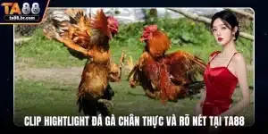 Blog TA88 | Tin Tức, Mẹo Cá Cược Và Khuyến Mãi 2026 - QENIX.ORG