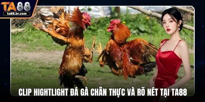 Tip Bóng Đá VIP - Học Hỏi Các Mẹo Cá Cược Hay Và Dễ Thắng - QENIX.ORG