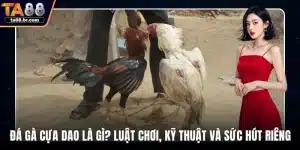 Blog TA88 | Tin Tức, Mẹo Cá Cược Và Khuyến Mãi 2026 - QENIX.ORG