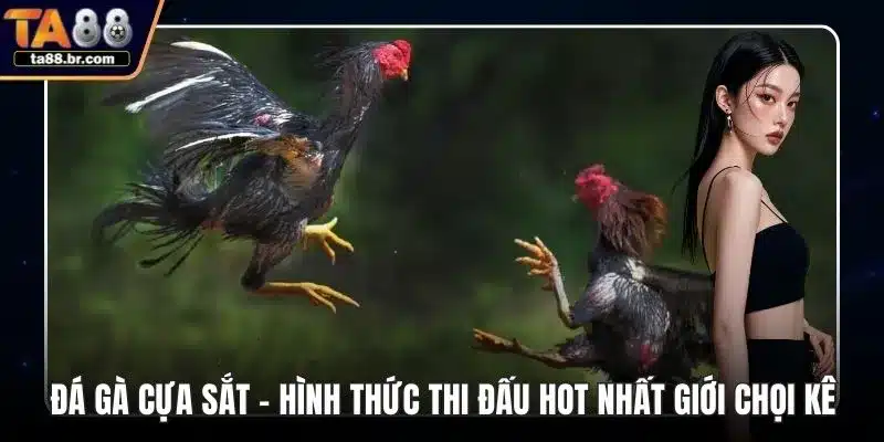 Bắn Cá King - Thu Hút Nhờ Trải Nghiệm Đại Dương Đỉnh Cao - QENIX.ORG