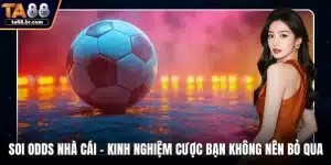 Blog TA88 | Tin Tức, Mẹo Cá Cược Và Khuyến Mãi 2026 - QENIX.ORG