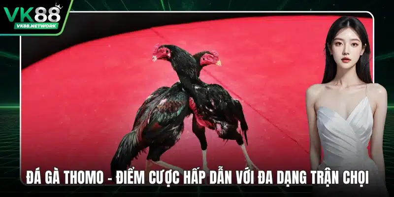 Đá Gà Thomo - Điểm Cược Hấp Dẫn Với Đa Dạng Trận Chọi - QENIX.ORG