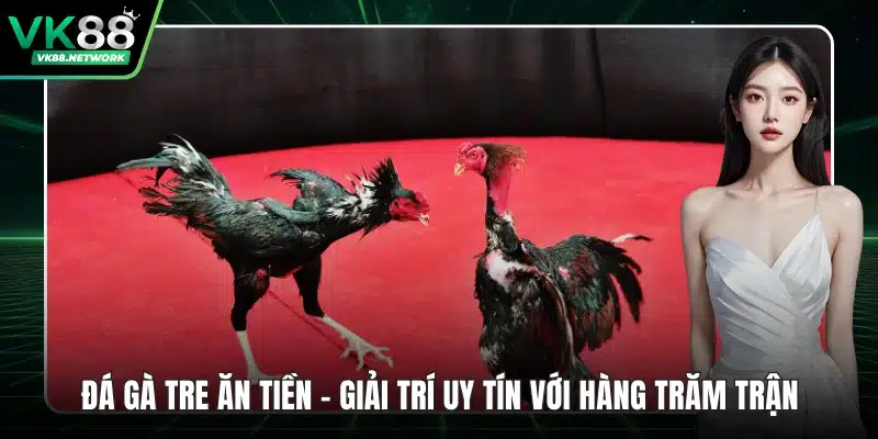 Đá Gà Thomo - Điểm Cược Hấp Dẫn Với Đa Dạng Trận Chọi - QENIX.ORG