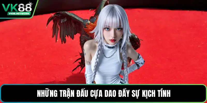 Đá Gà Uy Tín - Sân Chơi Chọi Kê Đẳng Cấp, Kịch Tính - QENIX.ORG