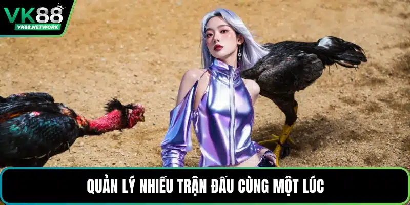 Đá Gà VK88 - Sảnh Cược Cuốn Hút, Đa Dạng Trận Nảy Lửa - QENIX.ORG