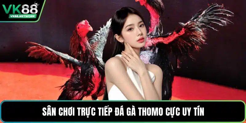 Đá Gà Thomo - Điểm Cược Hấp Dẫn Với Đa Dạng Trận Chọi - QENIX.ORG