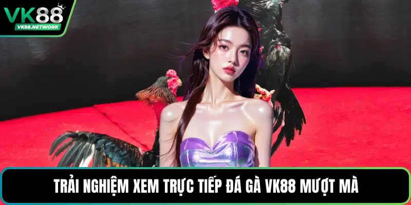 Đá Gà VK88 - Sảnh Cược Cuốn Hút, Đa Dạng Trận Nảy Lửa - QENIX.ORG